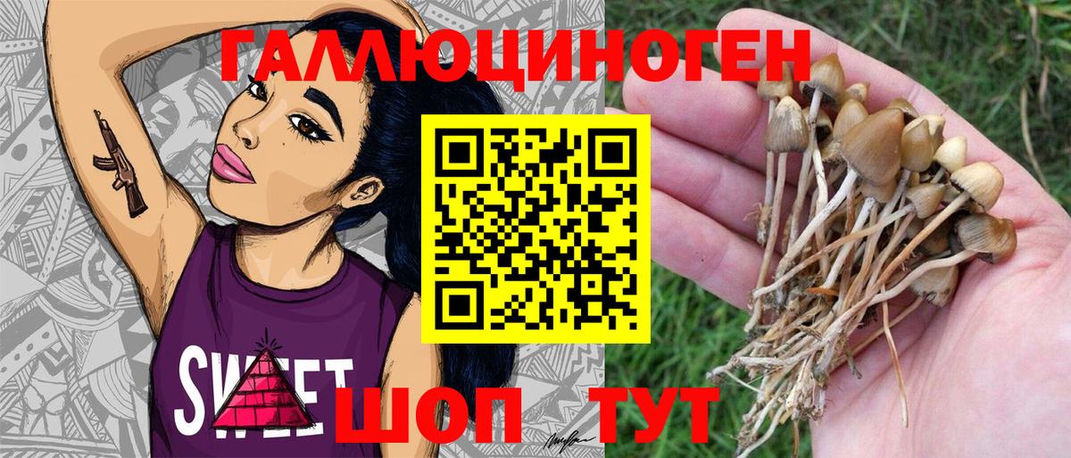 Галлюциногенные грибы Magic Shrooms  Галлюциногенные грибы Cubensis  Мирный  Вход с VPN 