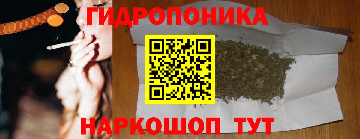 Конопля SATIVA & INDICA Мирный